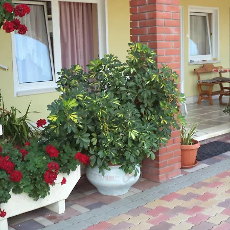 Holp Panzio Guest house
