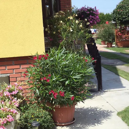 Guest house Holp Panzio Balatonfoldvar